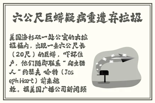新版金银瓶一级的特点新西游记