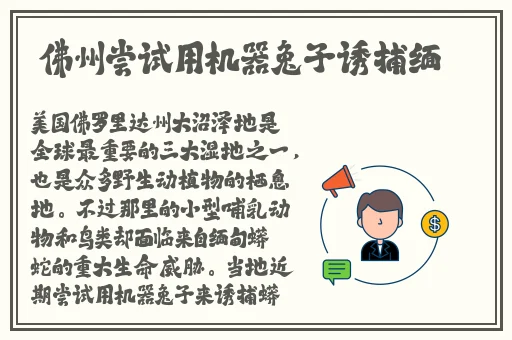 一个妈妈的女儿6在线观看